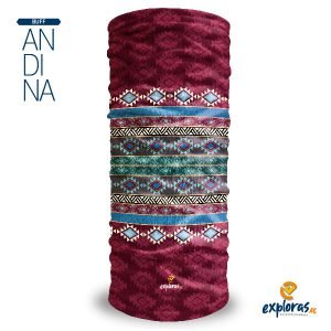 Andina