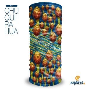 Chuquirahua