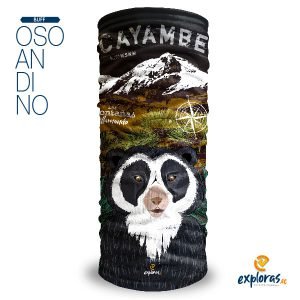 Oso Anteojos